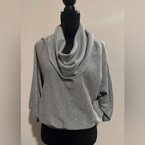 Style&Co Silver Glittery Sweater | Dolman Sleeves & Cowl Neck (GB1)
